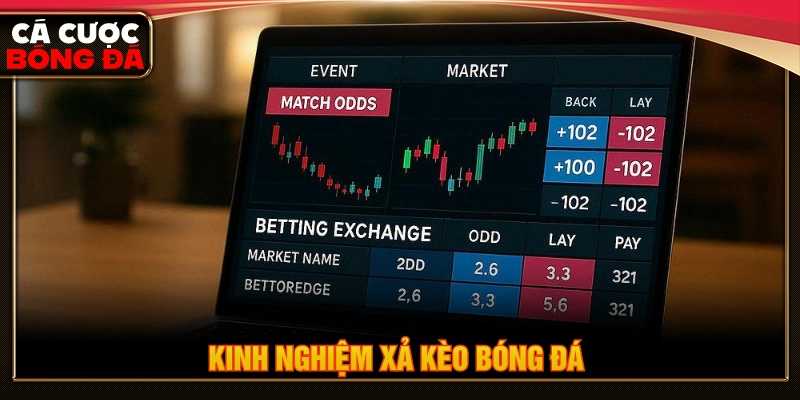 Kinh nghiệm xả kèo bóng đá cho người mới