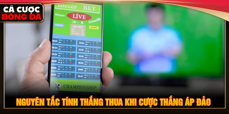 Nguyên tắc tính thắng thua khi cược thắng áp đảo