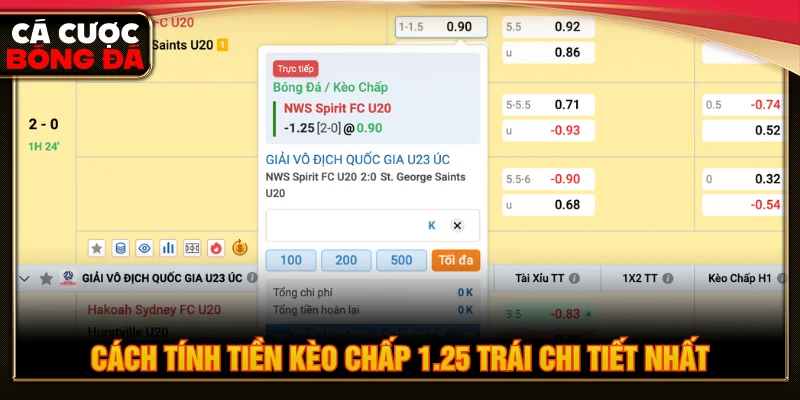 Hướng dẫn cách tính tiền chấp 1.25 trái