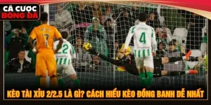 kèo tài xỉu 2/2.5 là gì