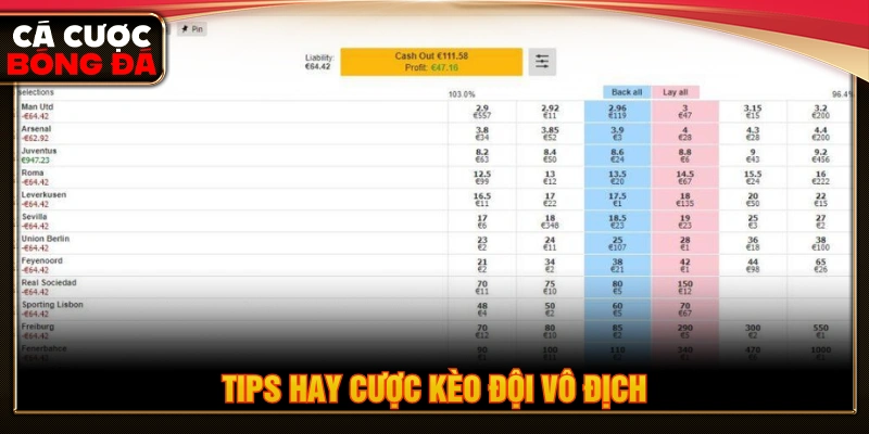 Tips hay cược kèo đội vô địch hiệu quả 